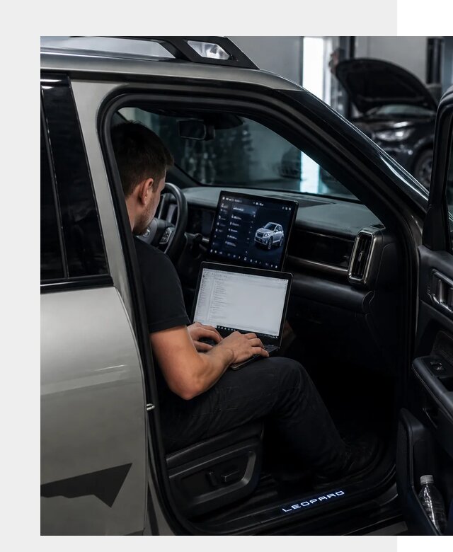 Русификация BYD Leopard 3 в Мелеузе по цене от 20356 р. | ФастМобиль-Млз